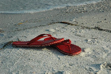 st_armands_house003001.jpg